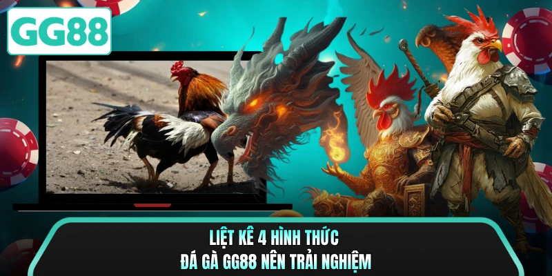 Liệt kê 4 hình thức đá gà GG88 nên trải nghiệm